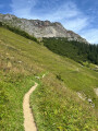 Half Way up Mottakopf, Austria